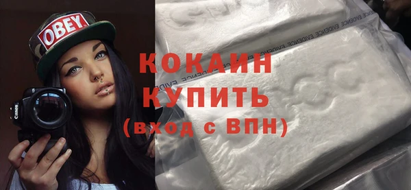 хмурый Няндома