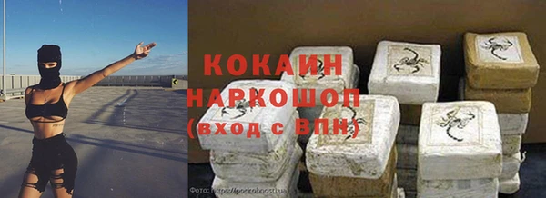 амф Новозыбков