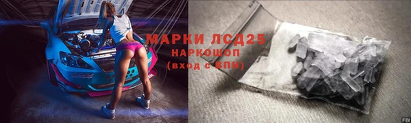 хмурый Няндома