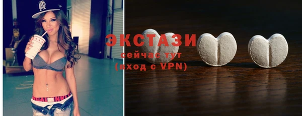 хмурый Няндома