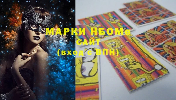 хмурый Няндома