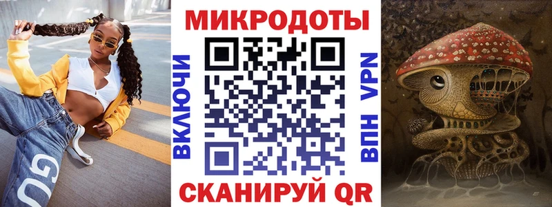 Псилоцибиновые грибы Psilocybine cubensis  Терек 